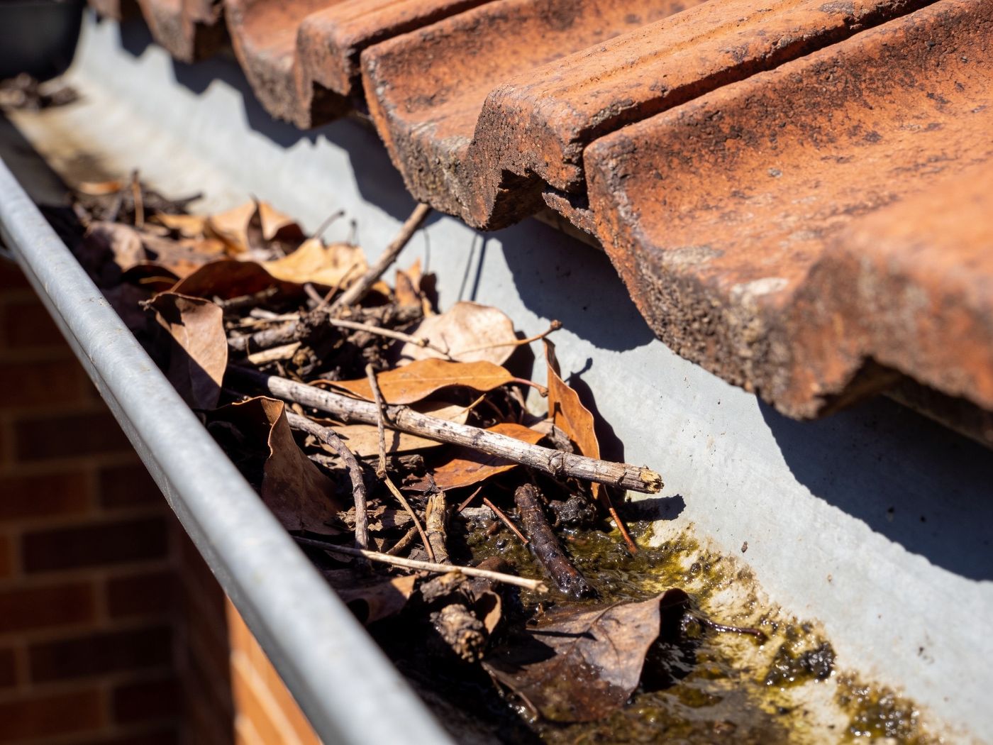 A blocked gutter before we start